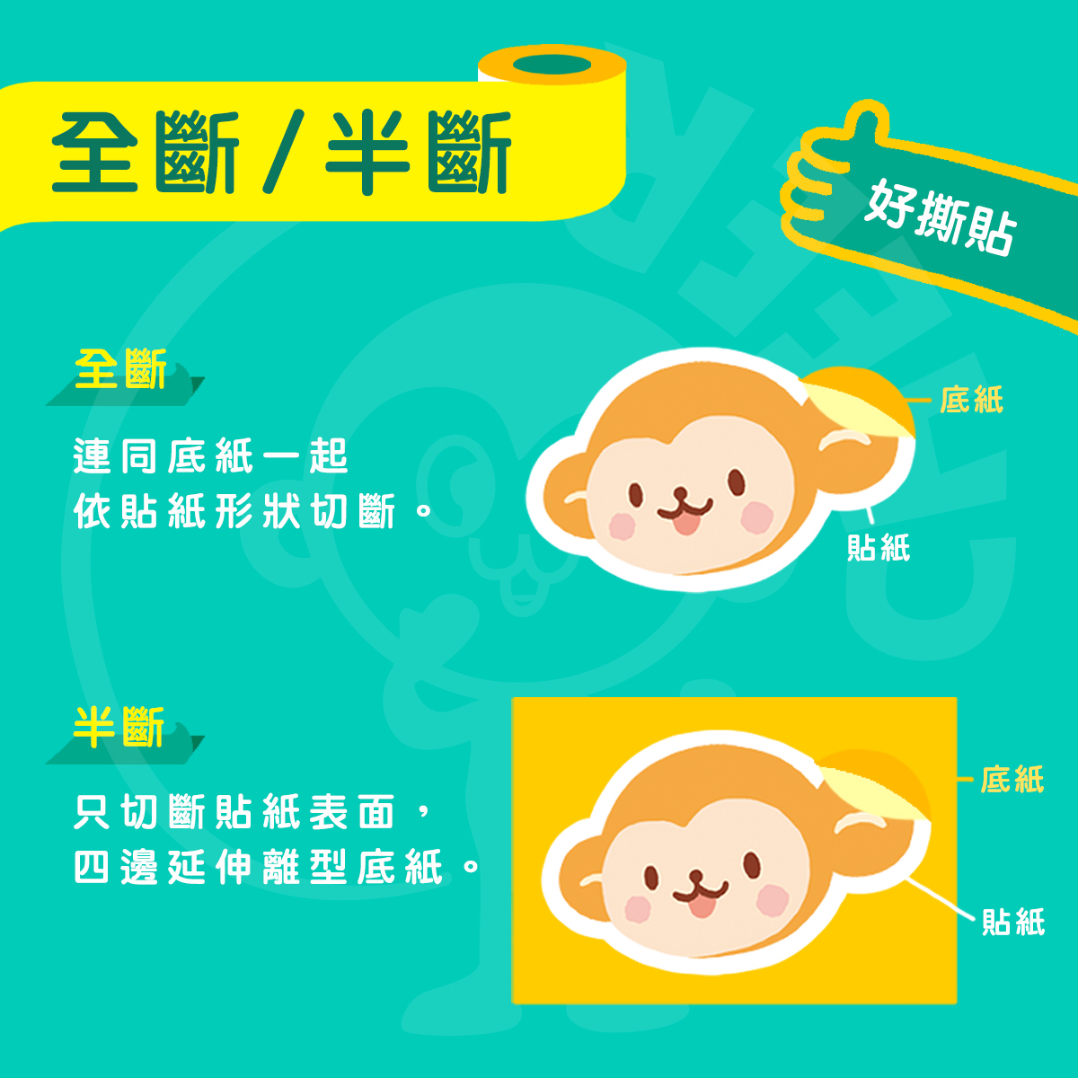 全斷/半斷差異 全斷/半斷差異